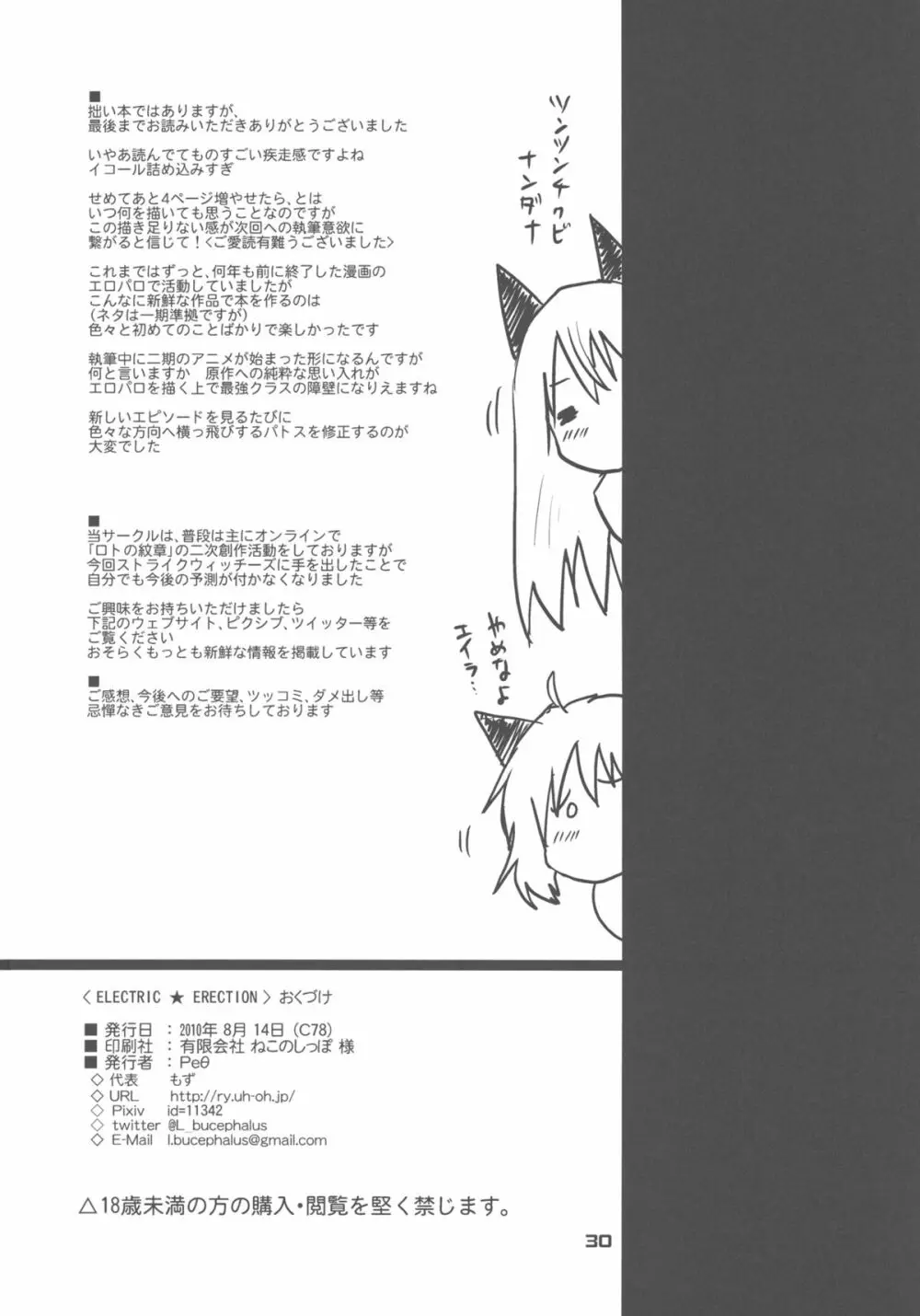 ELECTRIC★ERECTION Page.29