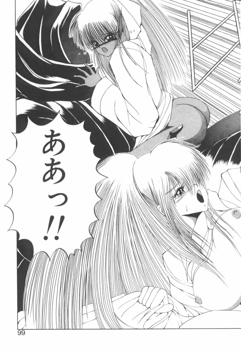 DARK WIRBEL 動乱編 Page.102