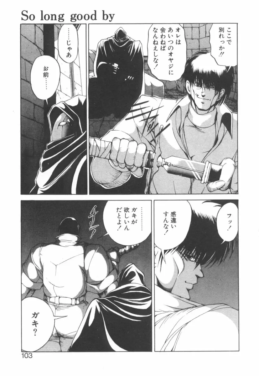 DARK WIRBEL 動乱編 Page.106