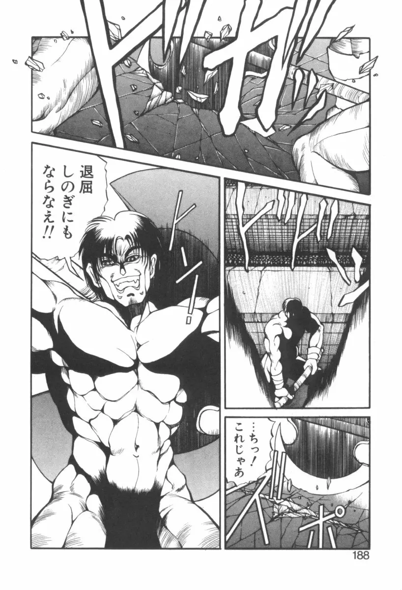 DARK WIRBEL 動乱編 Page.193