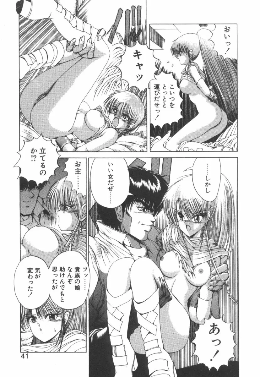 DARK WIRBEL 動乱編 Page.41