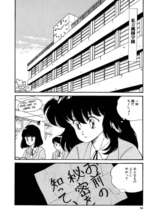 美少女へんしん伝説 Page.55