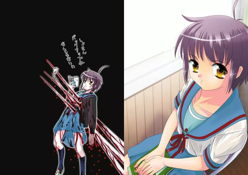 プライベイトレッスン~長門有希の個人授業~ Page.14