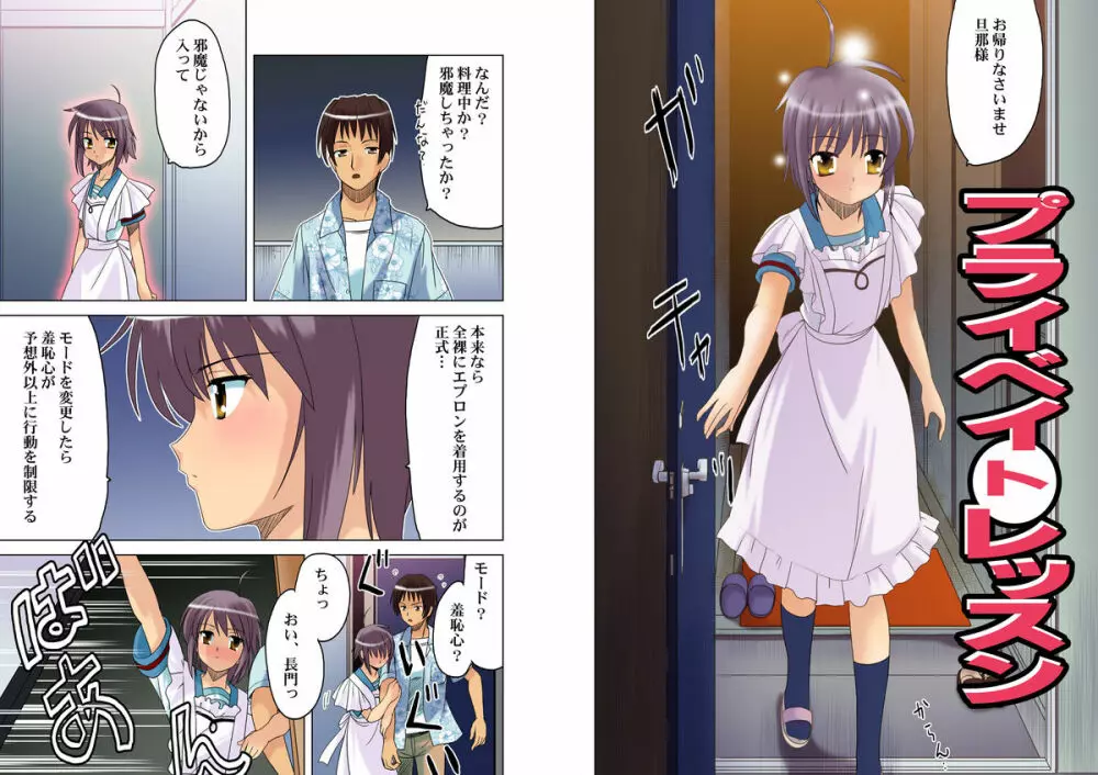 プライベイトレッスン~長門有希の個人授業~ Page.2