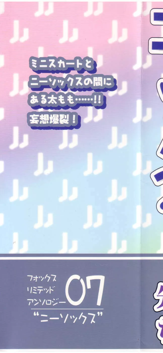 フォックスリミテッドアンソロジー07 ニーソックス Page.2