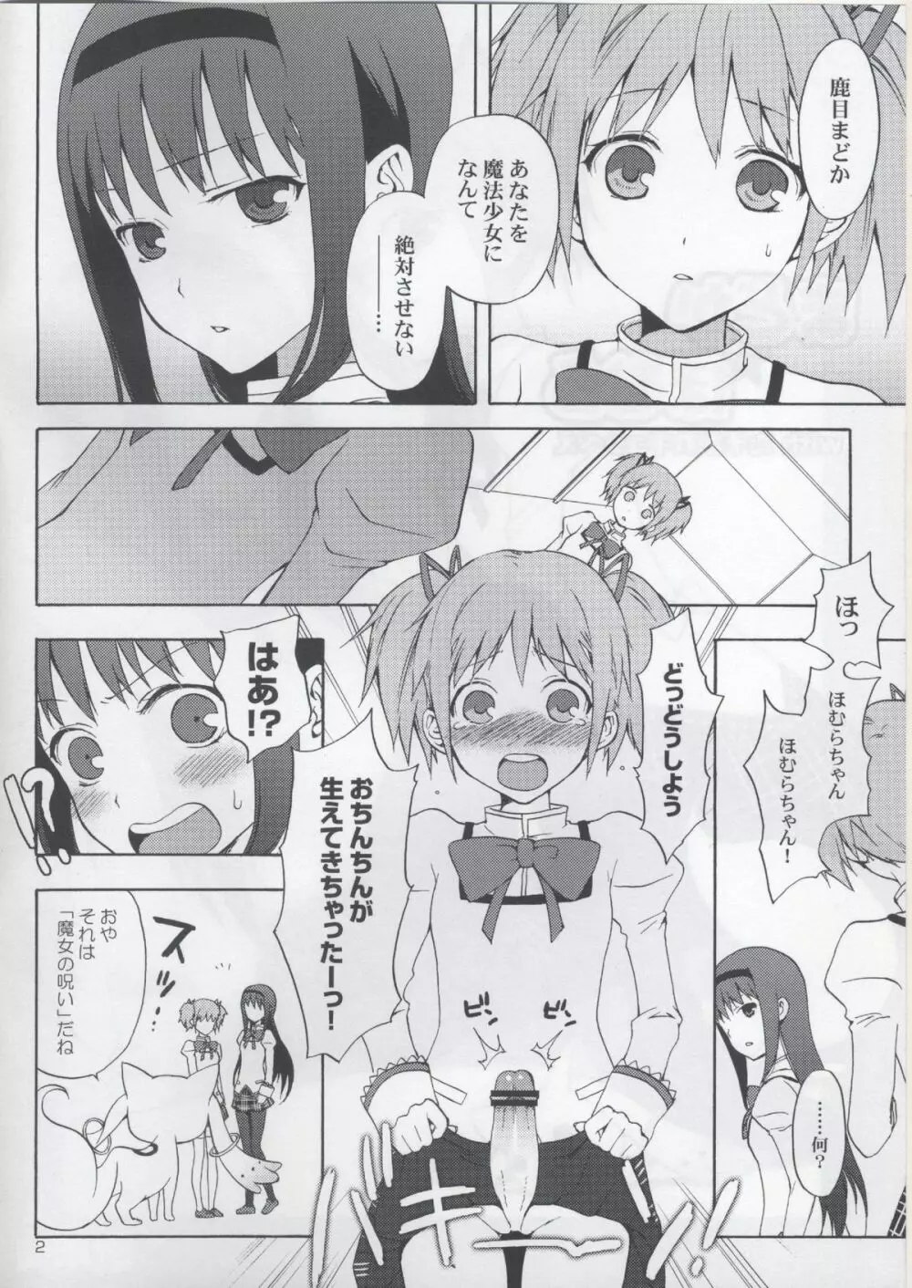 まどか★ほむらwithたそがれキュゥべえ Page.2