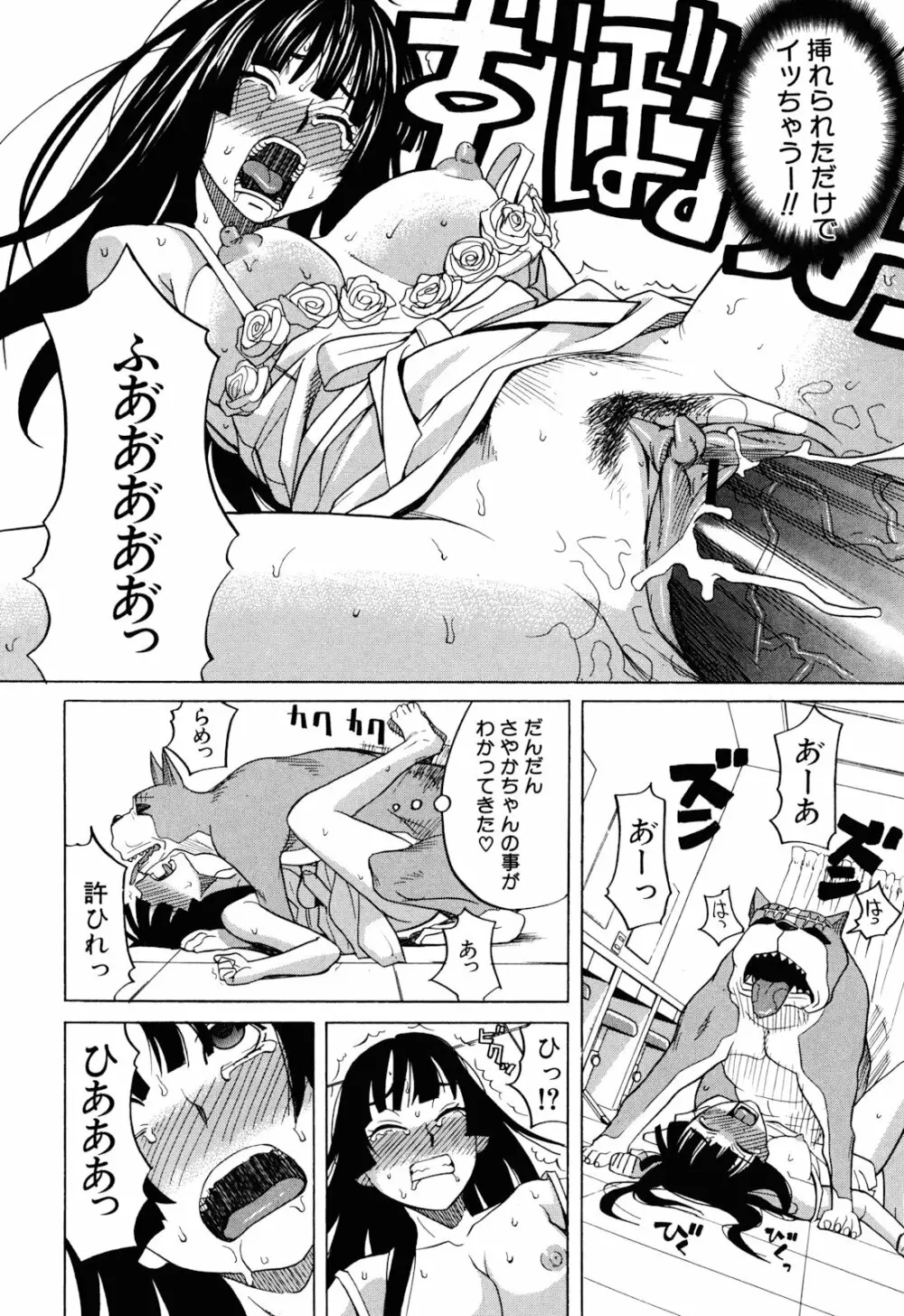 犬の生活 Page.54