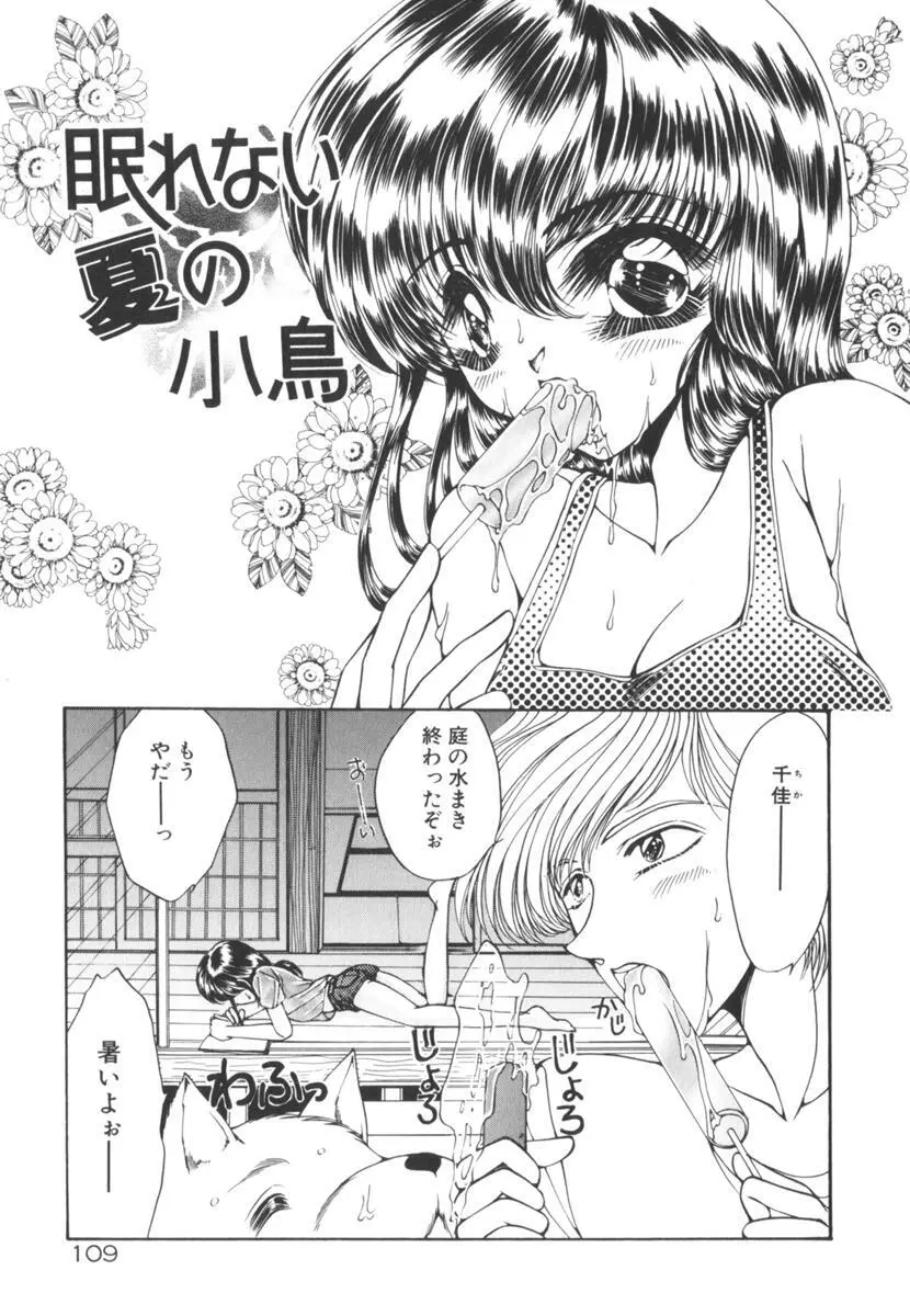 眠れない夜の小鳥 Page.114