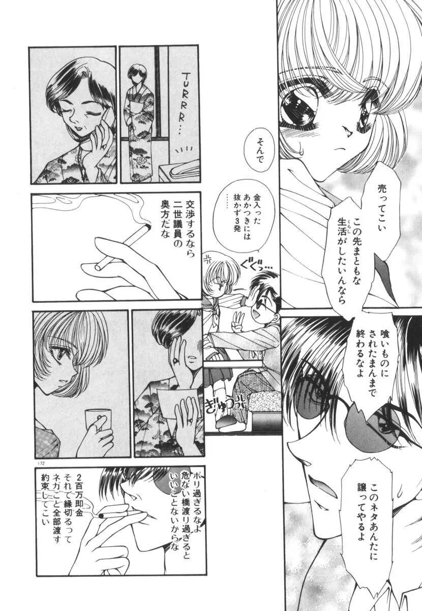 眠れない夜の小鳥 Page.177