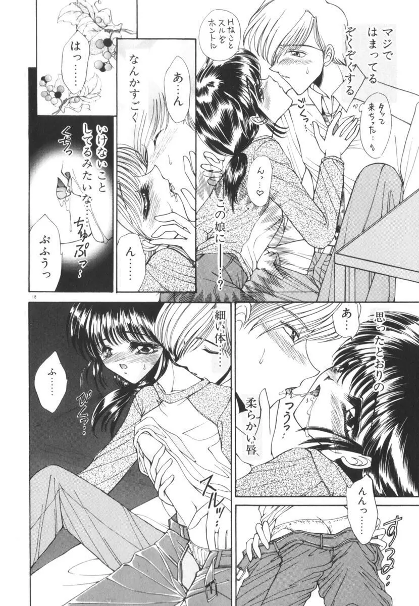 眠れない夜の小鳥 Page.23