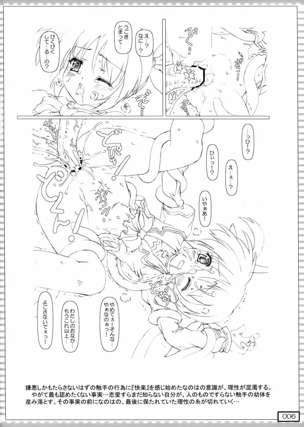 nanO RAISER Page.6