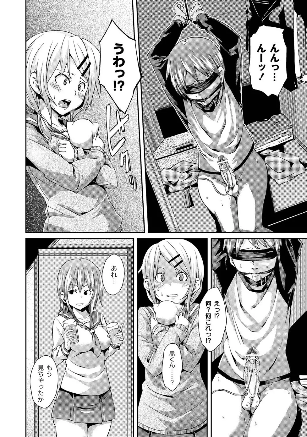 マニ・フェチ美少女コミックス PLUM DX 04 Page.133