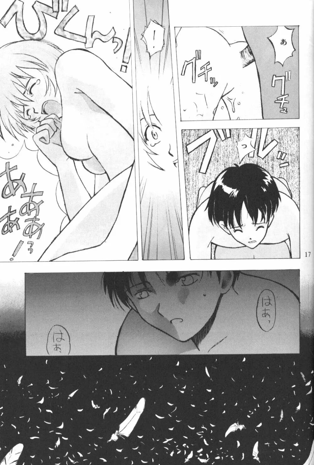 Eva-Plus C Page.16