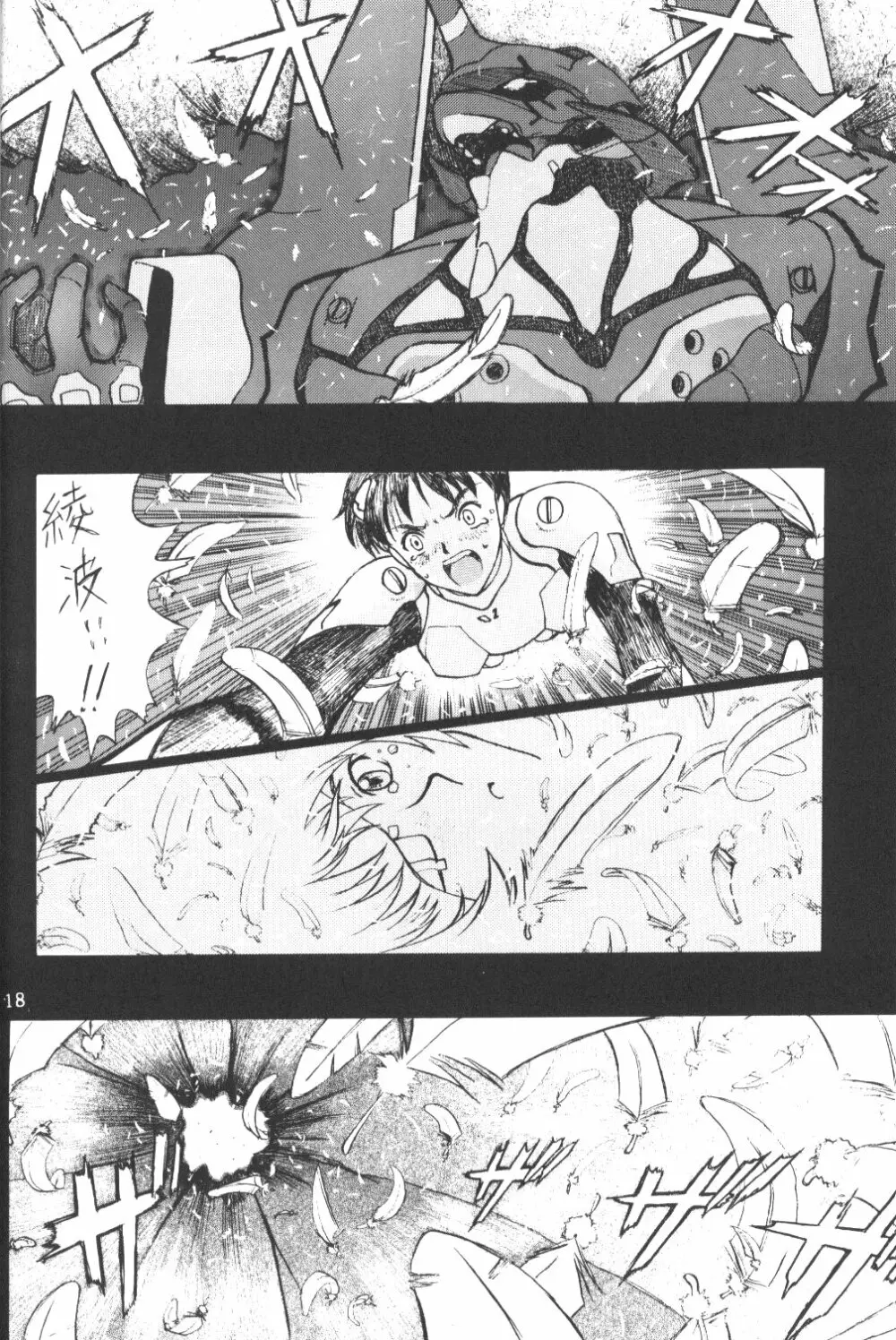 Eva-Plus C Page.17