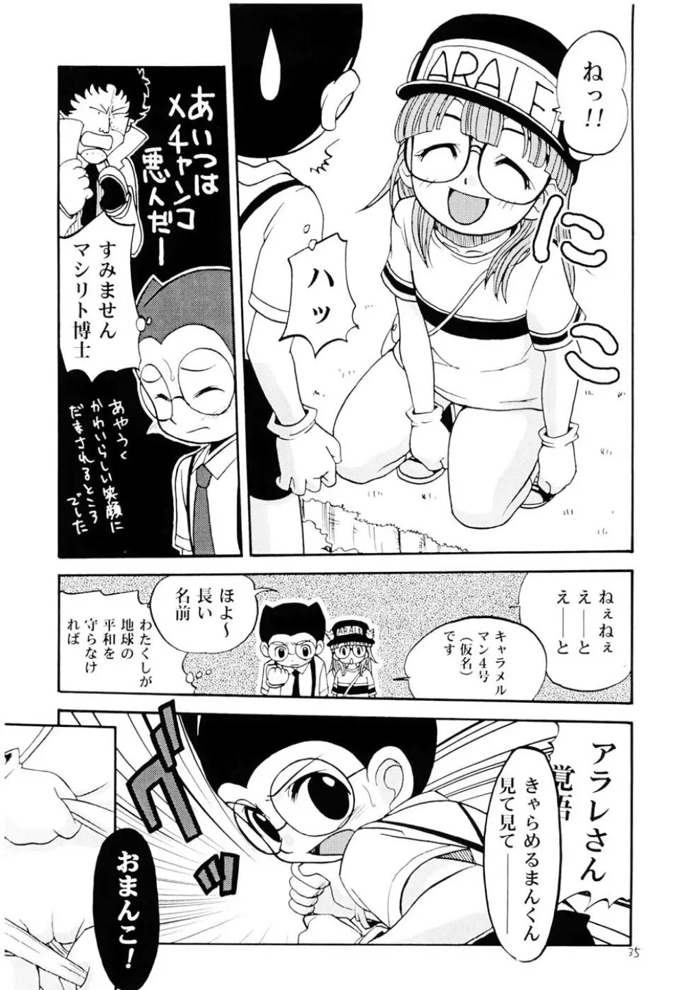 PROJECT ARALE Page.34