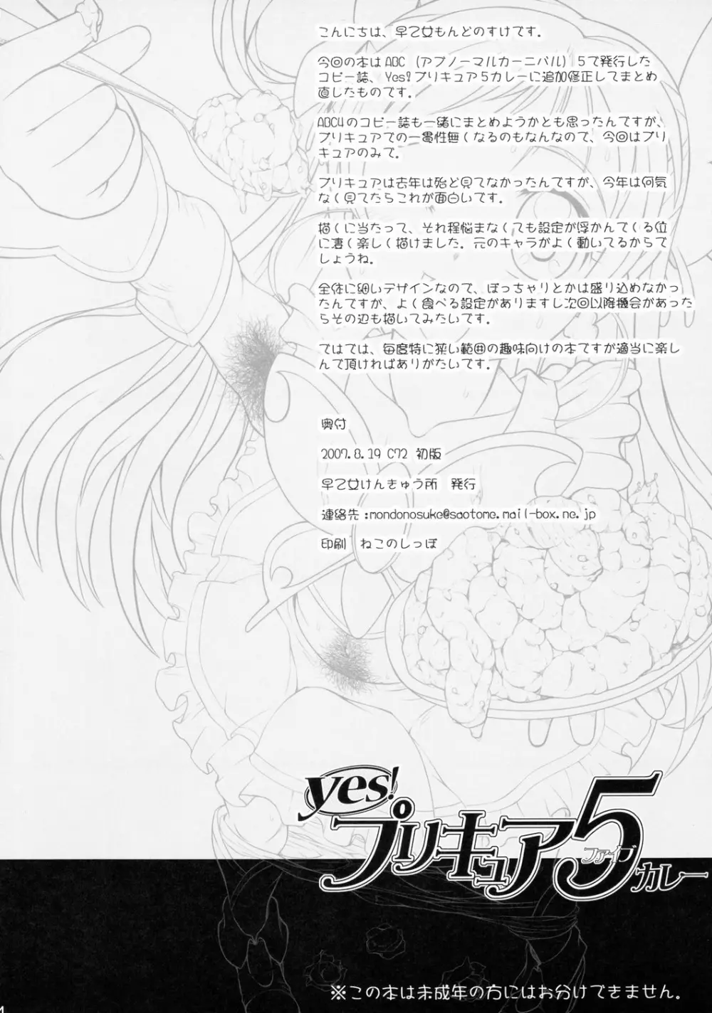 Yes!プリキュア5カレー Page.13
