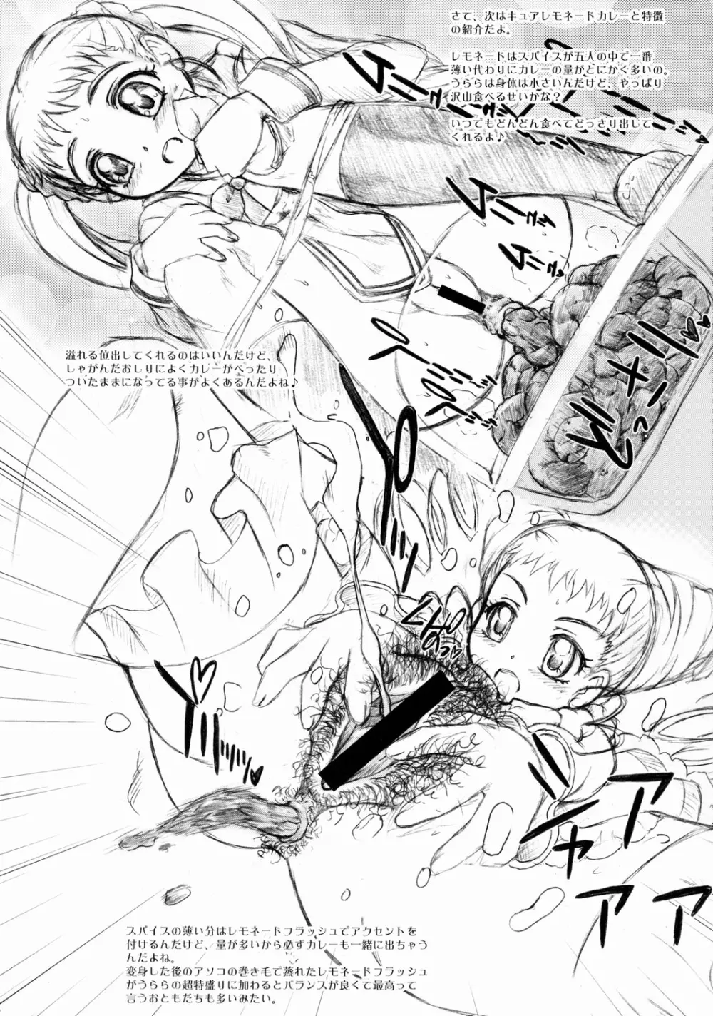 Yes!プリキュア5カレー Page.7