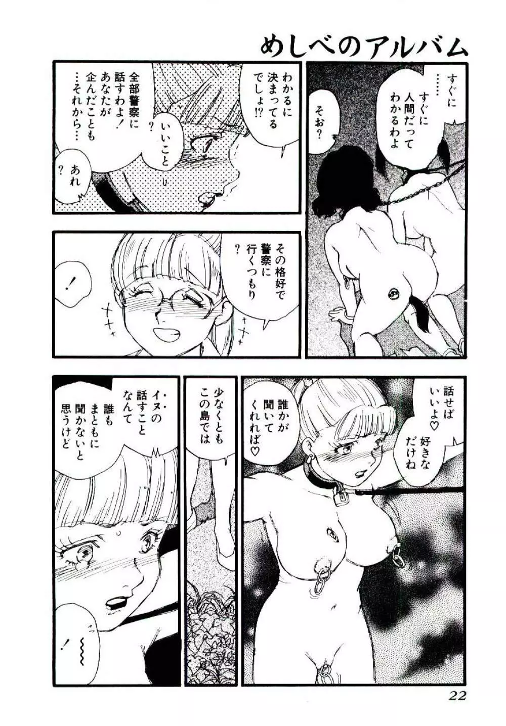 めしべのアルバム Page.21