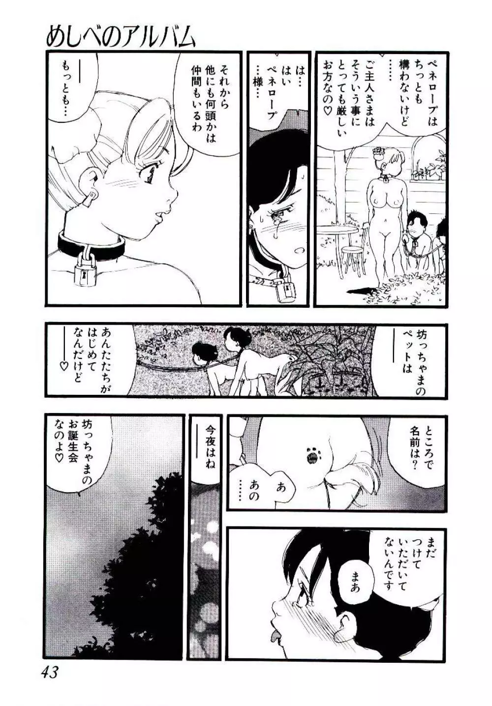 めしべのアルバム Page.42