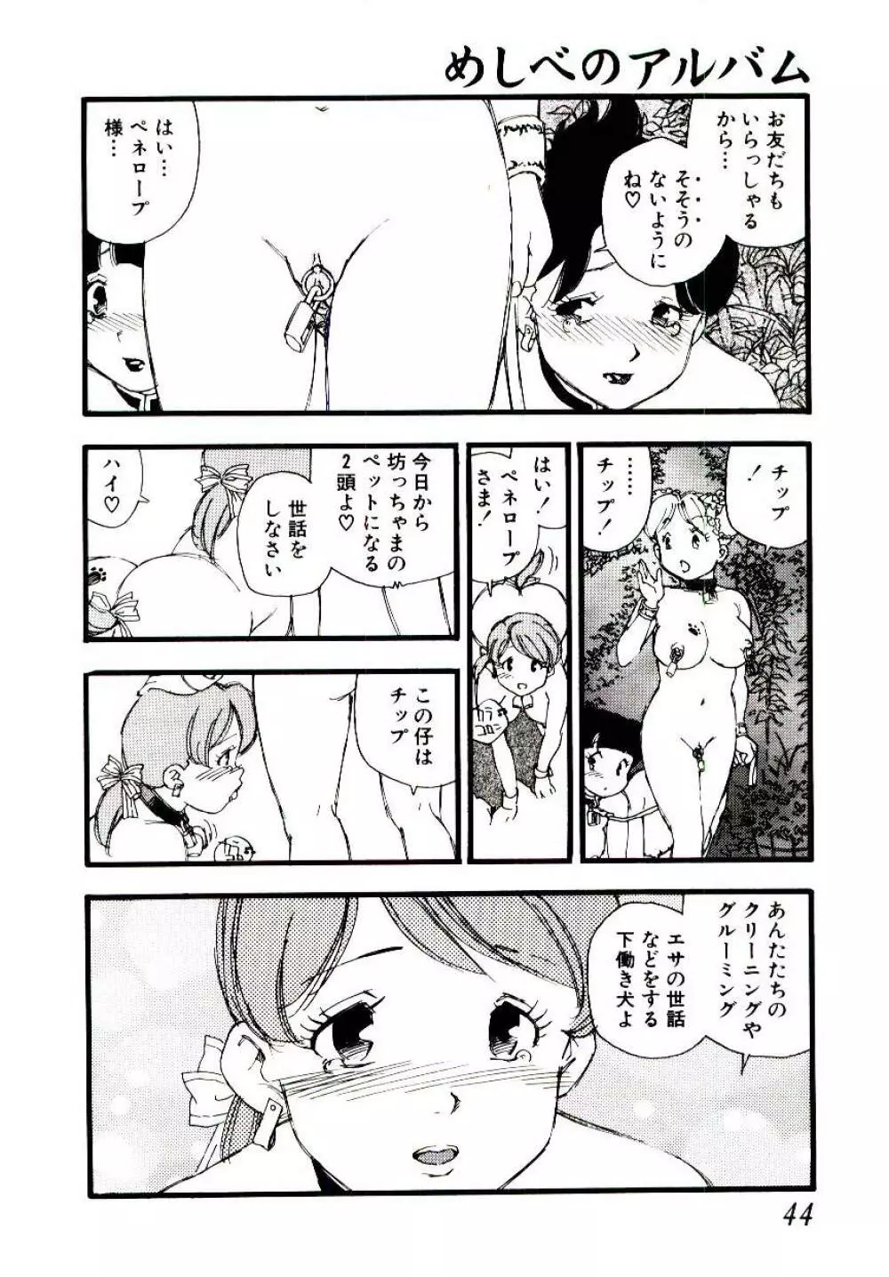 めしべのアルバム Page.43