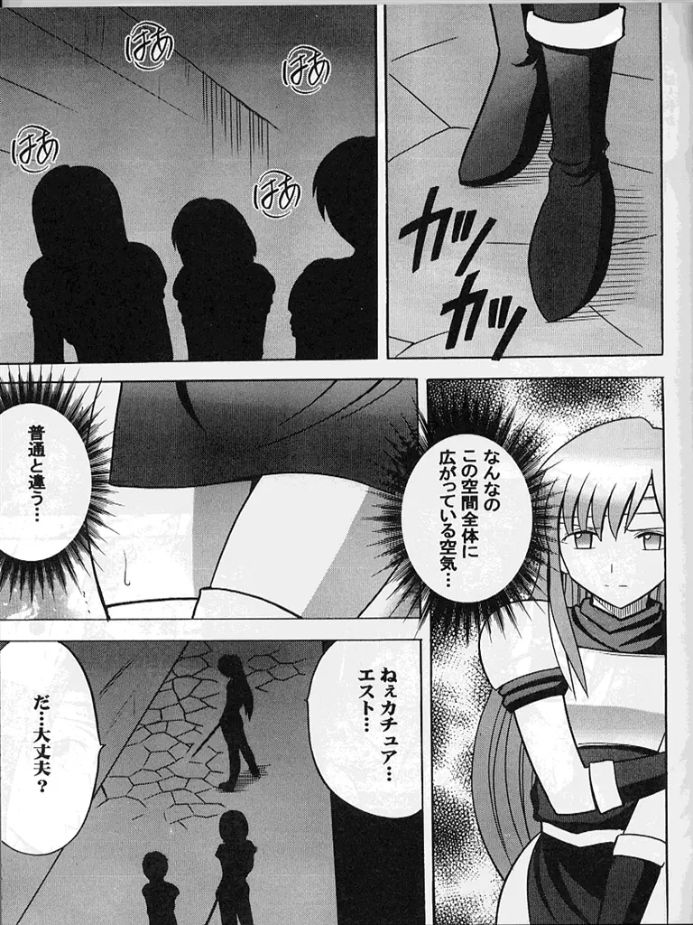 紋章のすべて Page.16