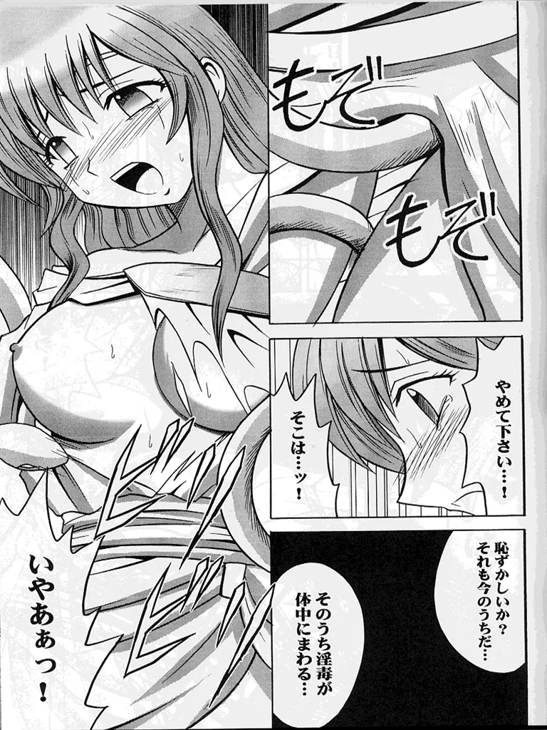 紋章のすべて Page.52