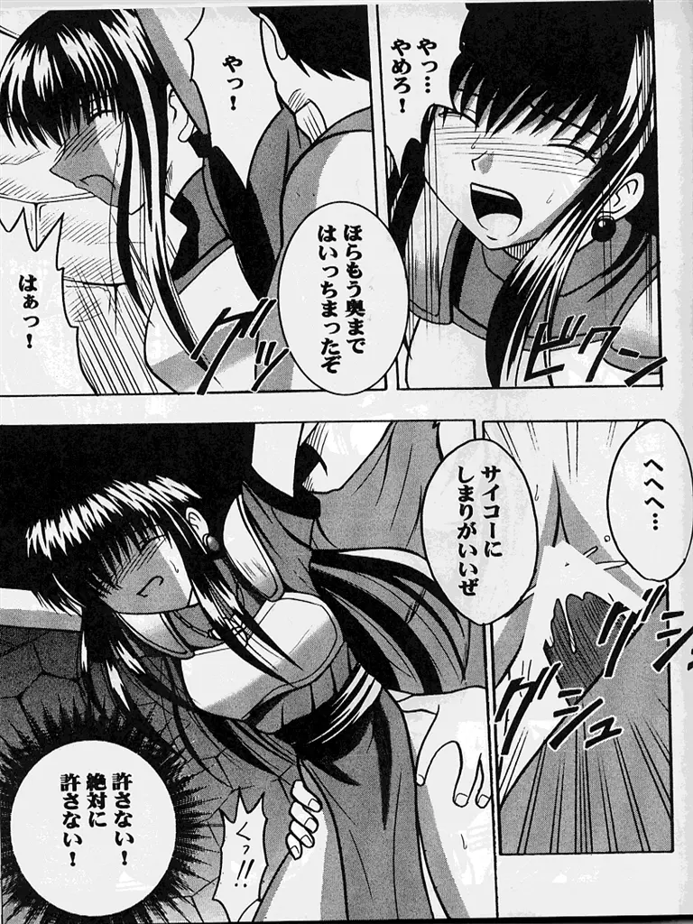 紋章のすべて Page.72