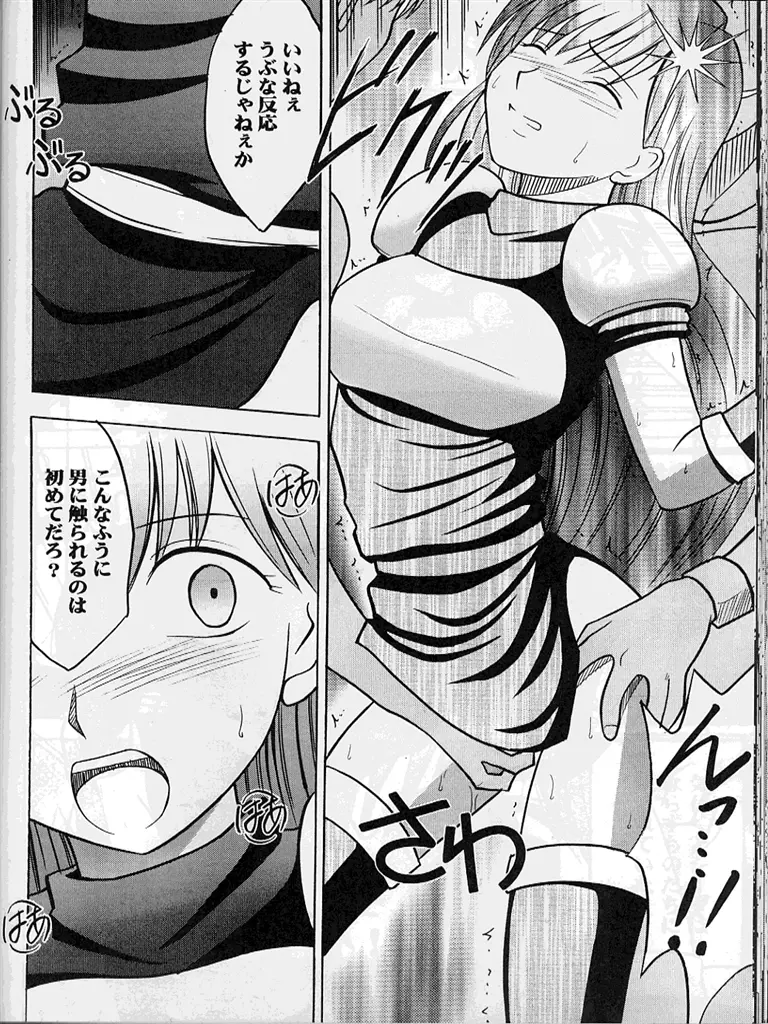 紋章のすべて Page.79