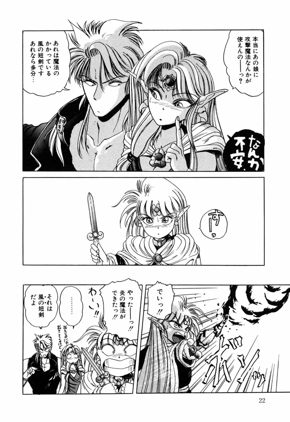 ヘルシーカーニバル Page.23