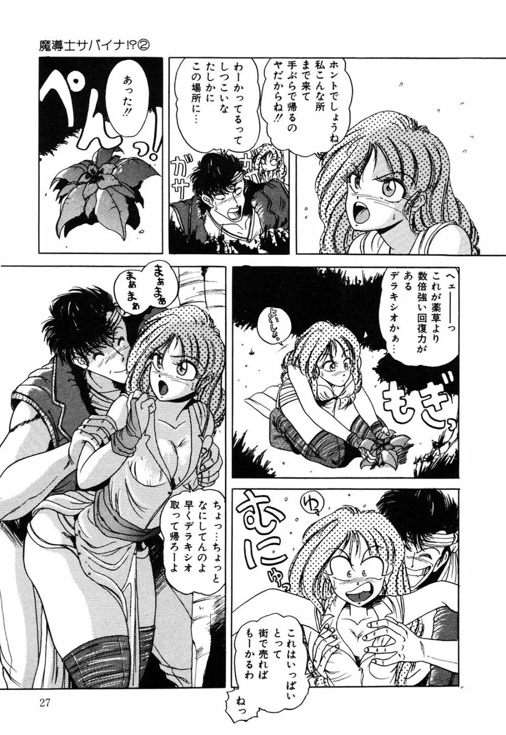 ヘルシーカーニバル Page.28