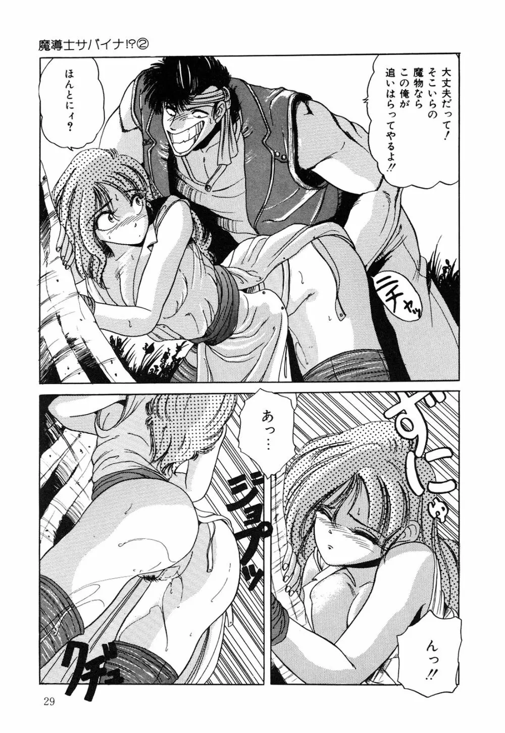ヘルシーカーニバル Page.30