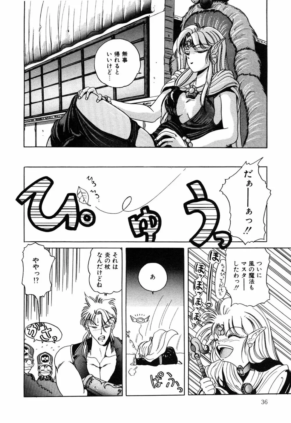 ヘルシーカーニバル Page.37