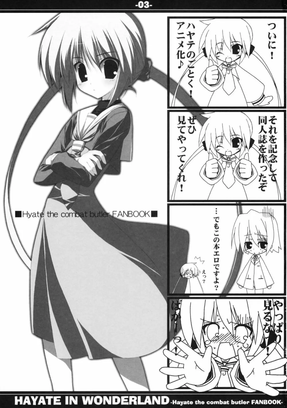 HAYATE IN WONDERLAND Page.3