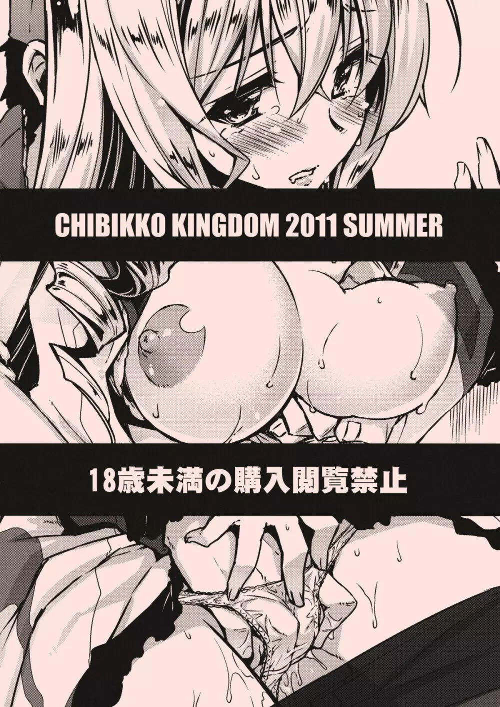 セシリア超特急+ISエロうちわ Page.30