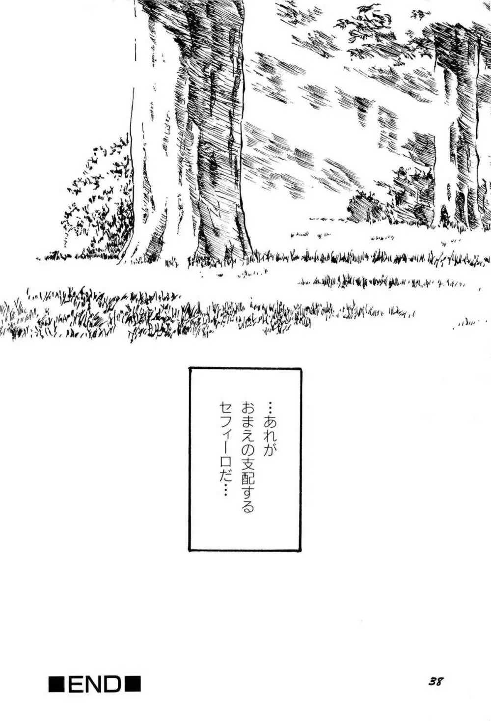 アニパロ美姫1 Page.41