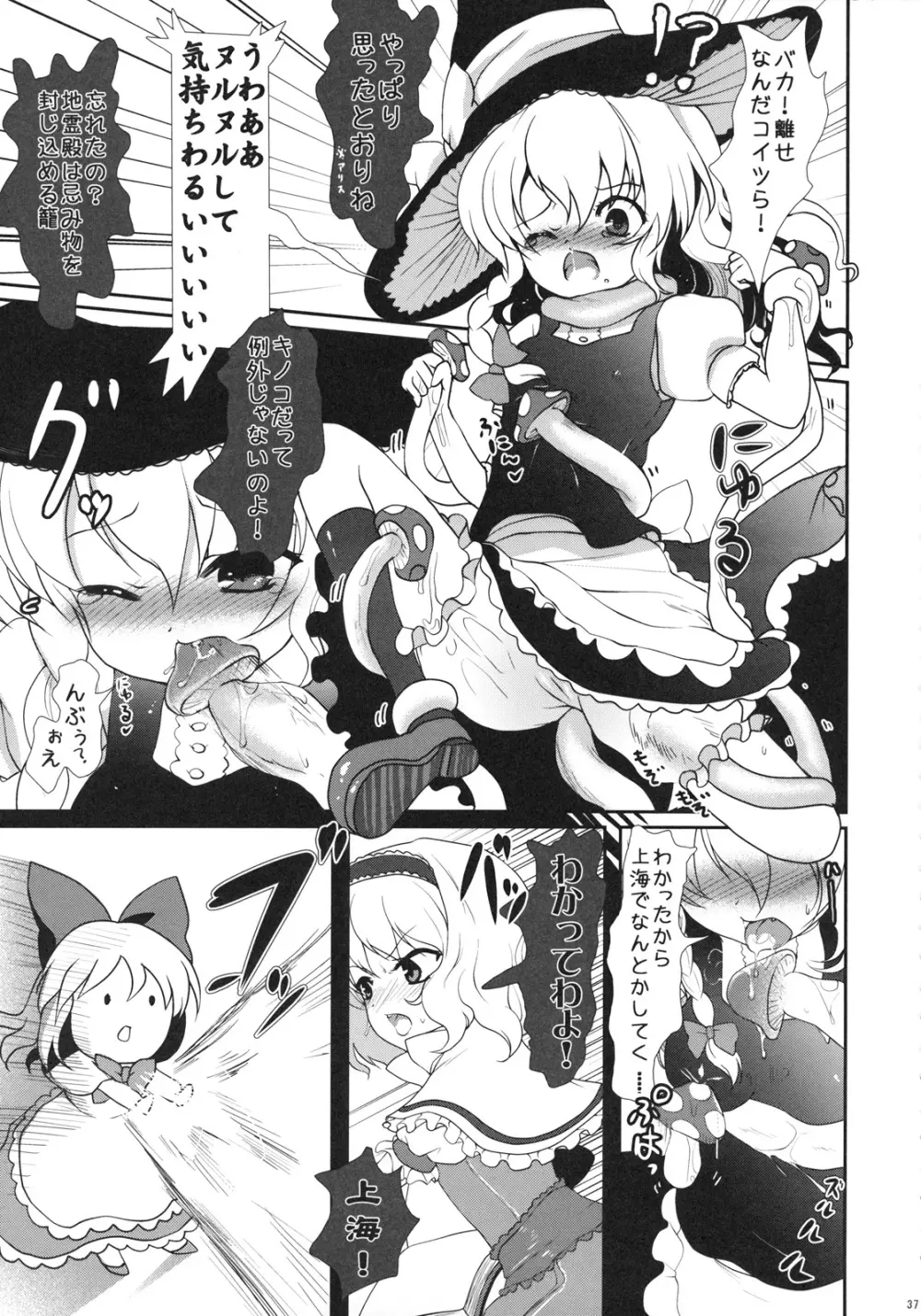 2008-2009まとめ本1 Page.9