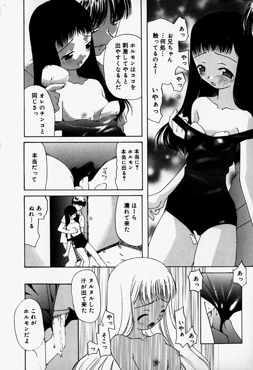 リトルピアス Vol.37 Page.162