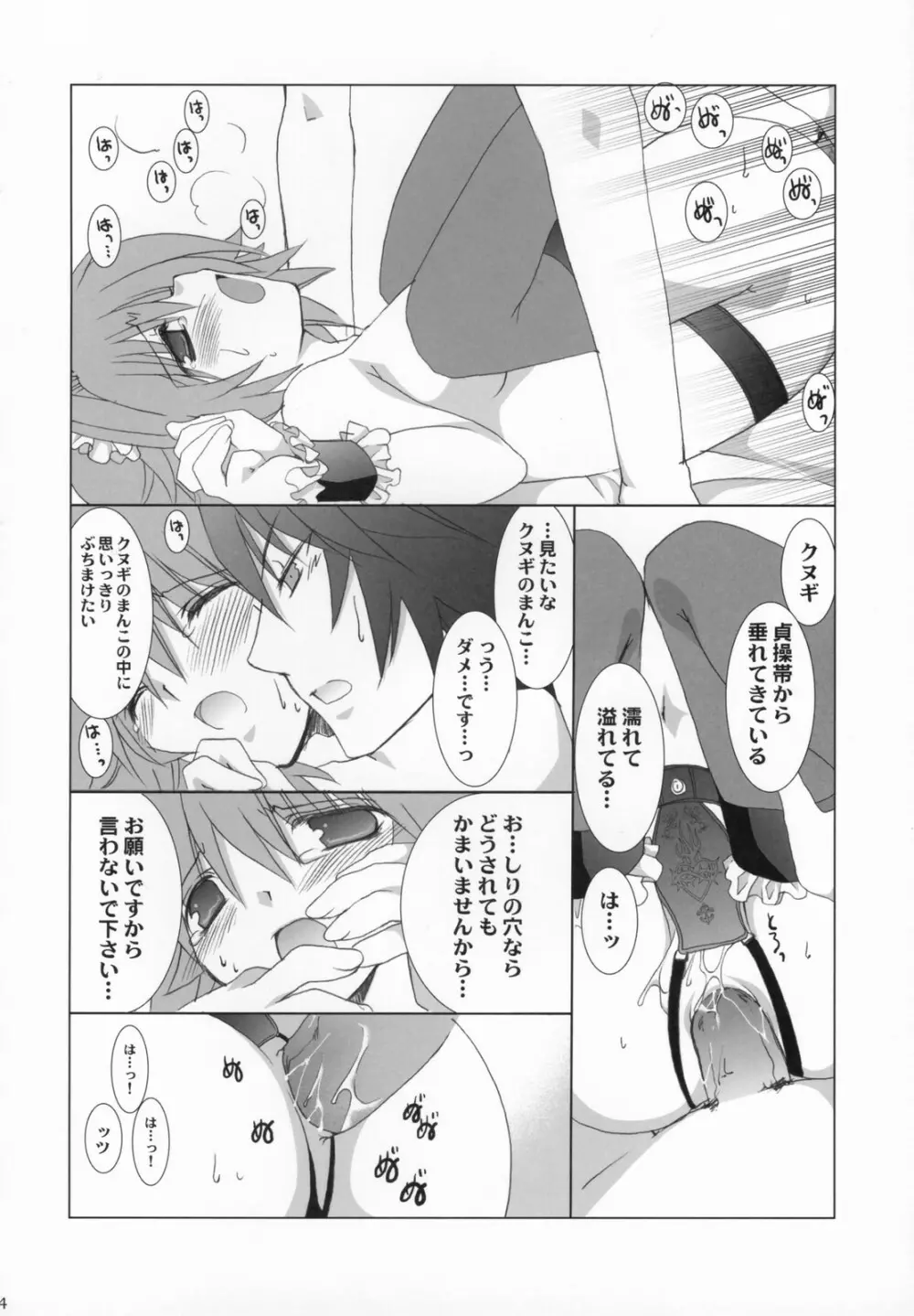 ハレノチネコ Page.13