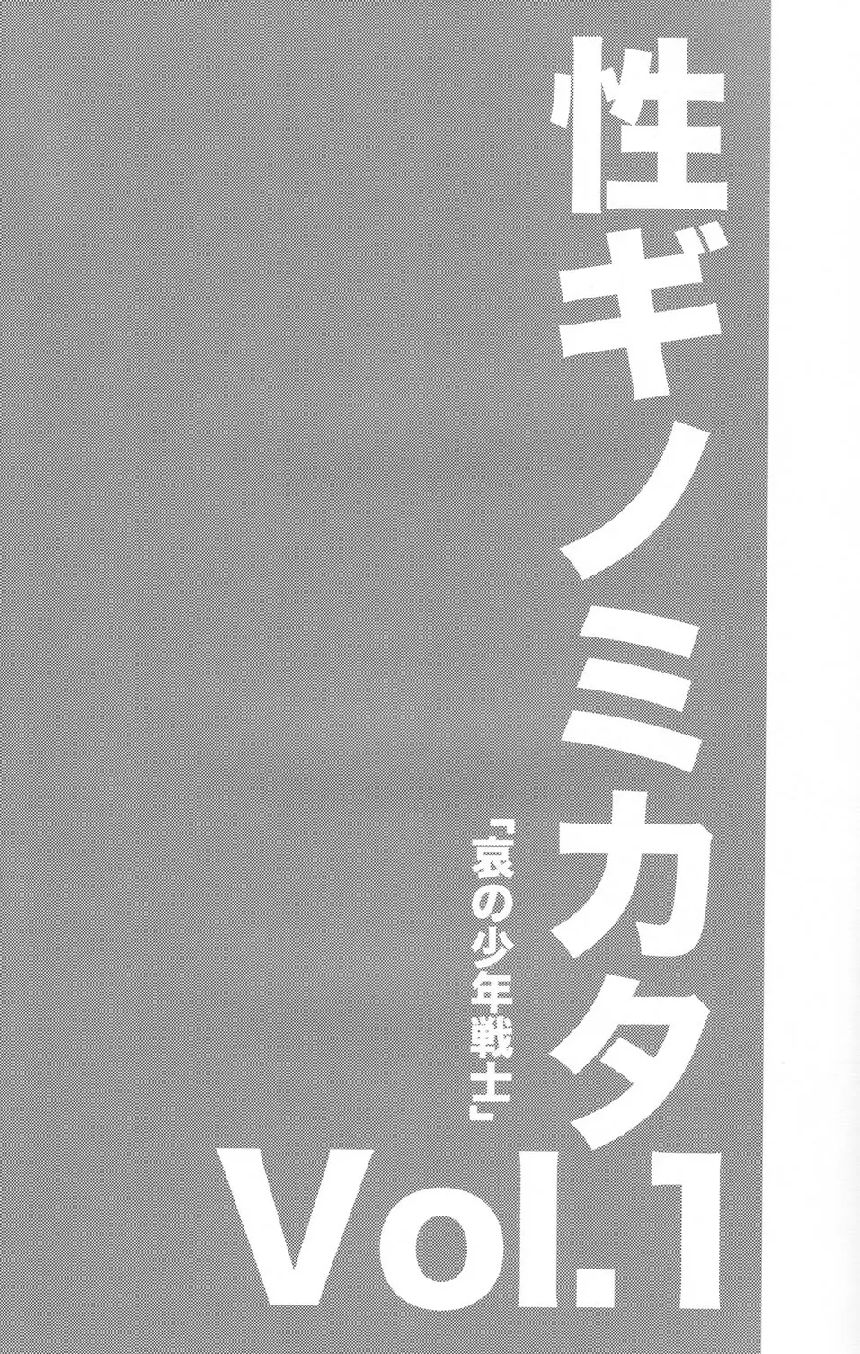 性ギノミカタ Vol.1 Page.3
