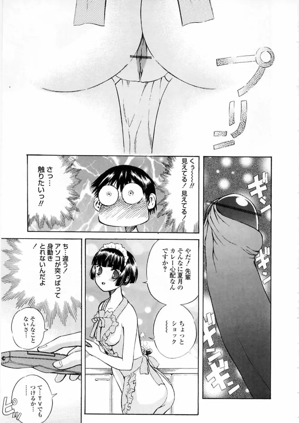 聖女の見る淫夢 Page.29