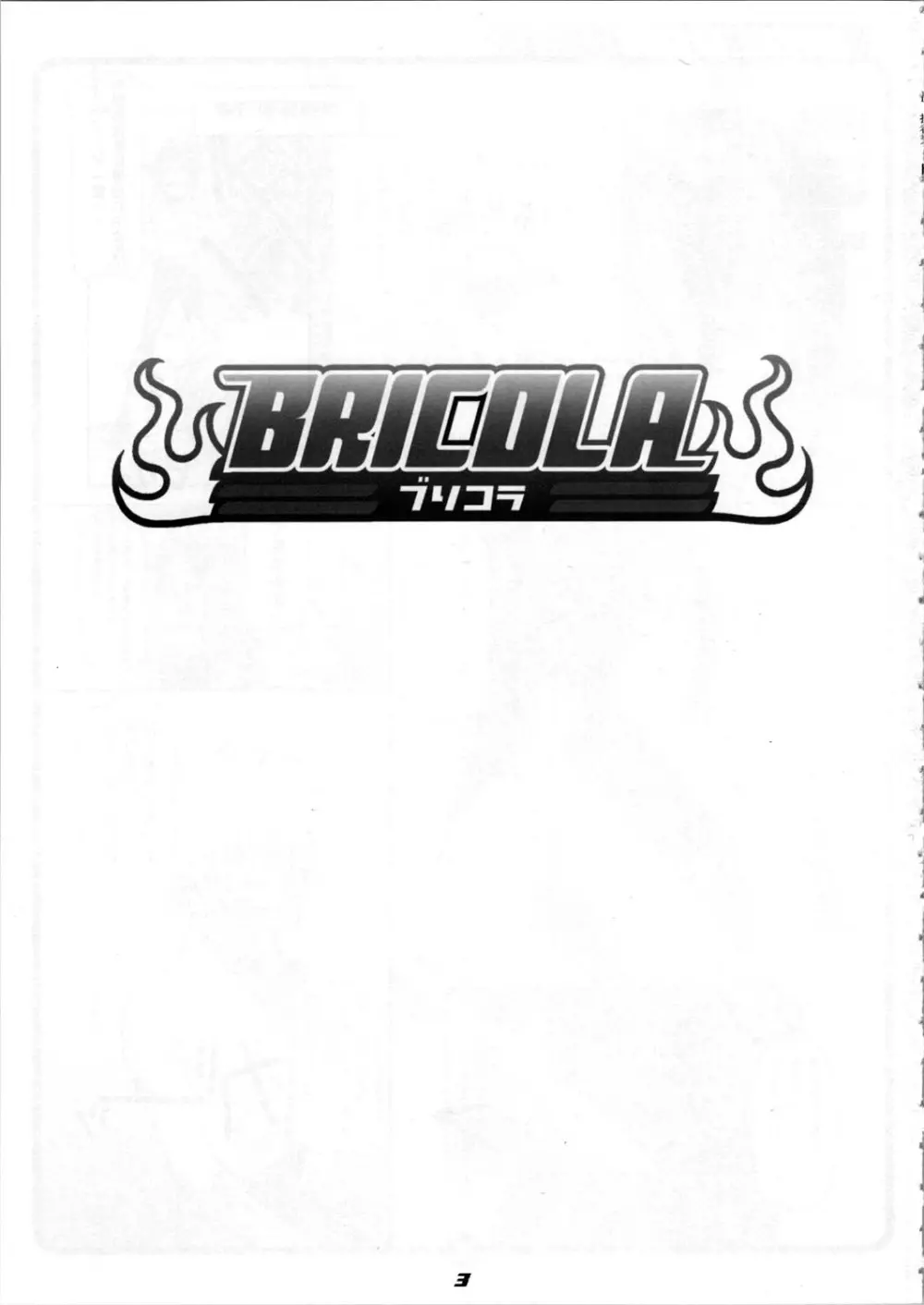 BRICOLA Page.3