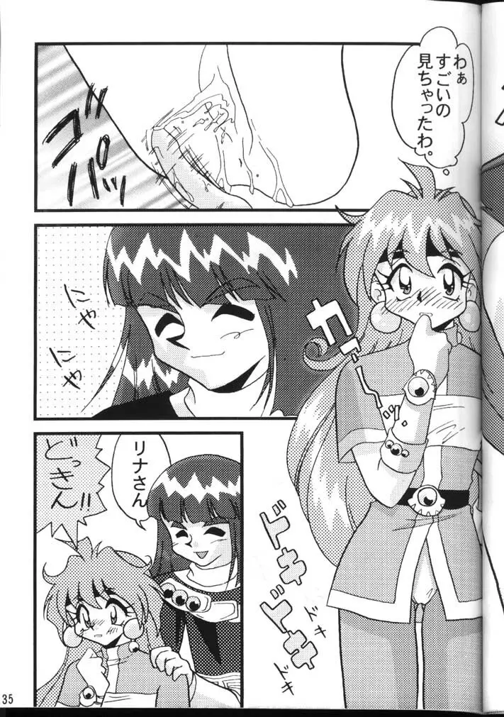 SLAYERS ADULT 6 Page.35