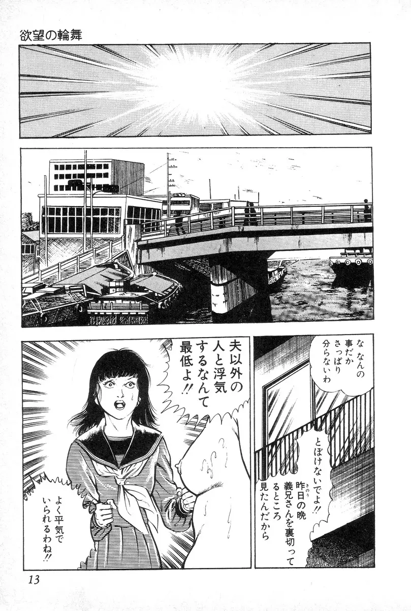 欲望の輪舞 Page.17