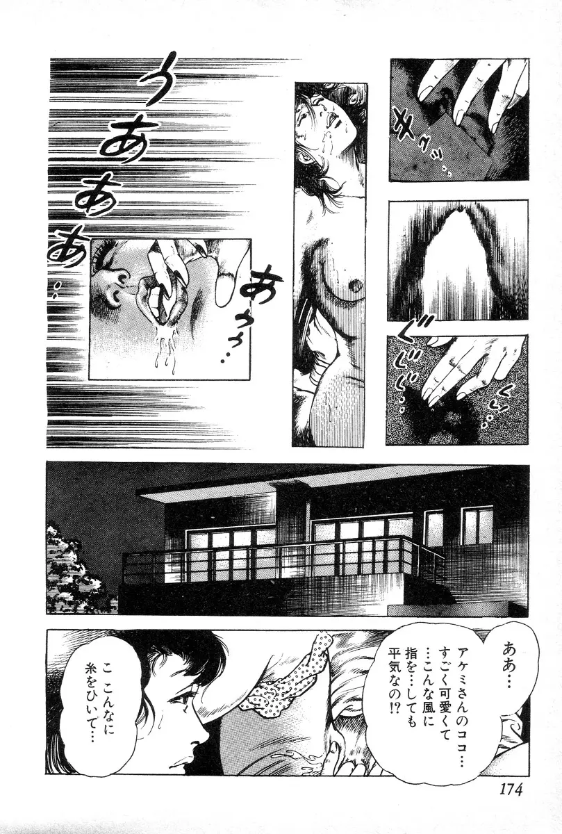 欲望の輪舞 Page.178