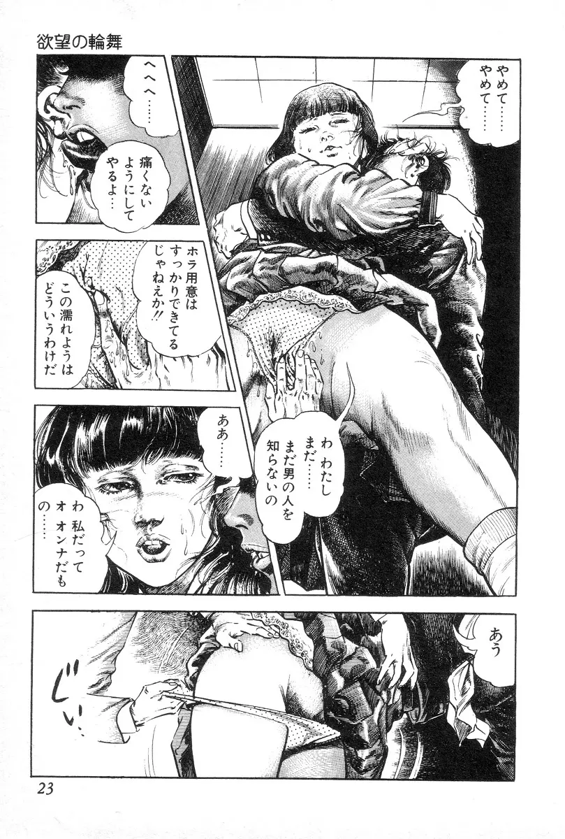 欲望の輪舞 Page.27