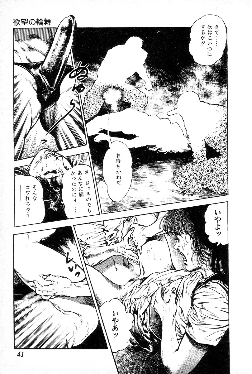 欲望の輪舞 Page.45