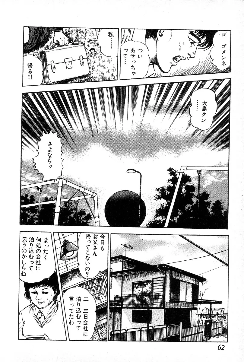 欲望の輪舞 Page.66