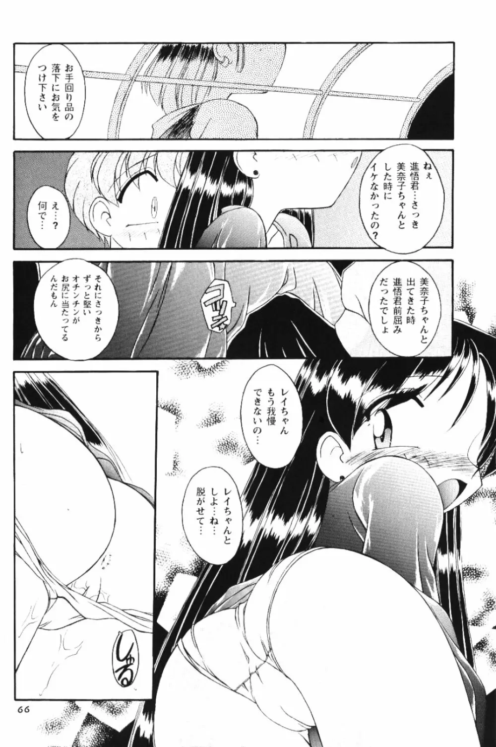 Moon Memories Vol.2 Page.65