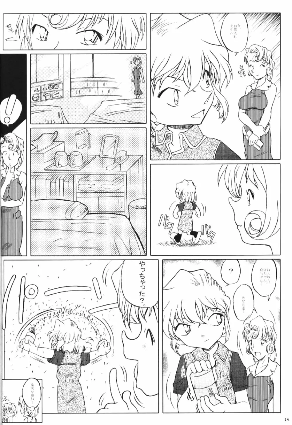 続・愛の嵐 哀の賛歌 Page.13