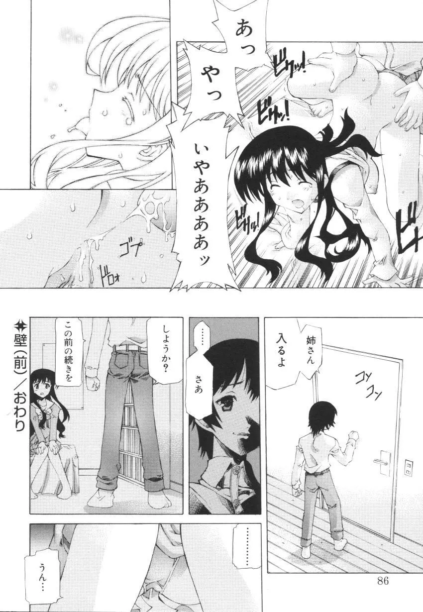 えっちな肢体 ~The indecent body~ Page.88